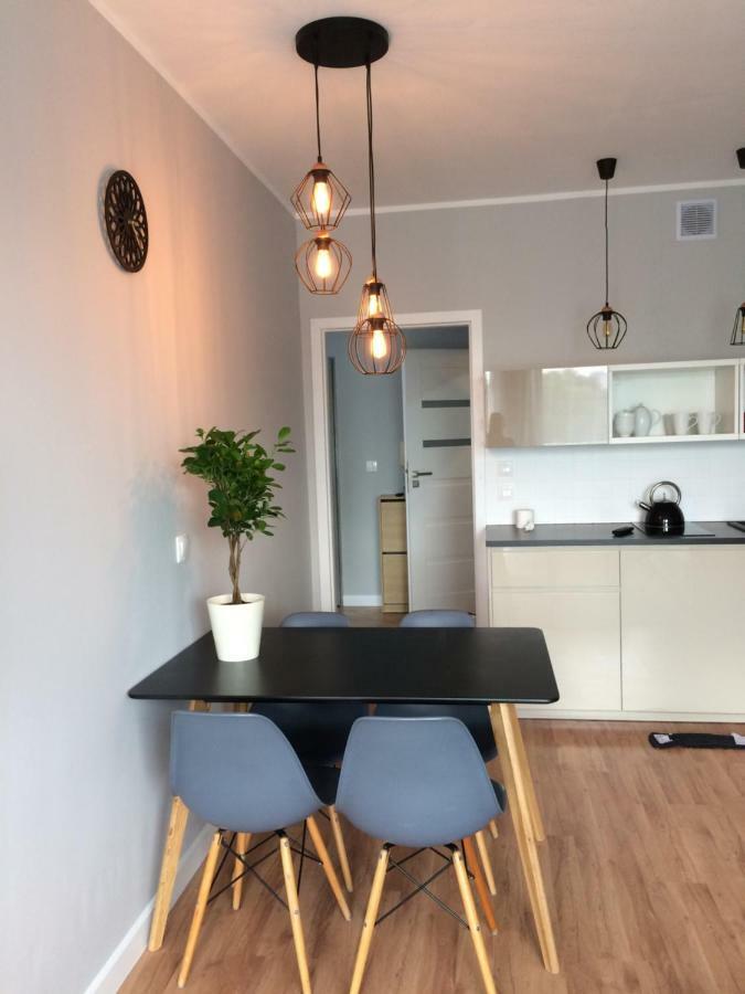 Politechnika Przy Jeziorze Apartment Poznan
